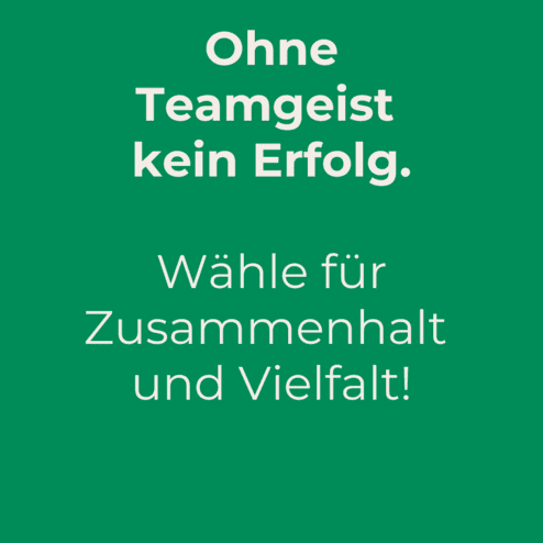 Gr&uuml;ner Hintergrund mit dem Text: &bdquo;Ohne Teamgeist kein Erfolg. W&auml;hle f&uuml;r Zusammenhalt und Vielfalt! Zur Bundestagswahl 2025.&ldquo;
