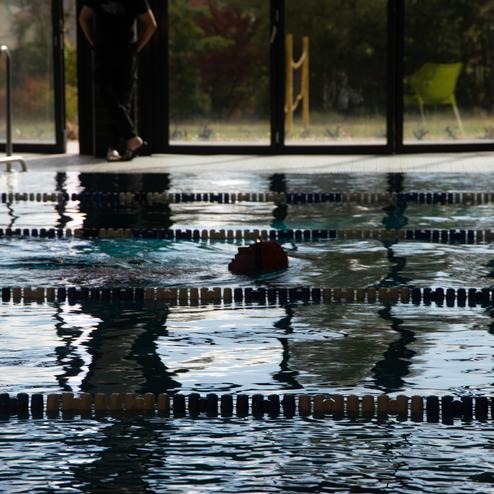Schwimmer in einem Hallenbad, teilweise unter Wasser, umgeben von blauen Wasserfl&auml;chen und hellen Fenstern.