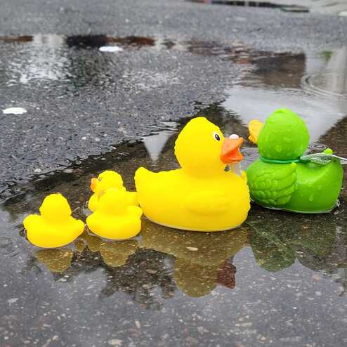 Vier Gummienten in verschiedenen Gr&ouml;&szlig;en stehen in einer Pf&uuml;tze auf dem Boden, die gr&ouml;&szlig;te ist gelb und die kleinste ebenfalls gelb.