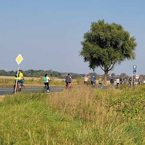 Gruppe von Radfahrern auf einer Landstra&szlig;e, umgeben von Wiesen und einem Baum im Hintergrund.