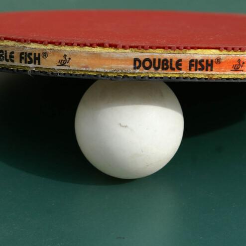 Tischtennisschl&auml;ger balanciert auf einem wei&szlig;en Tischtennisball vor einer gr&uuml;nen Hintergrundfl&auml;che.