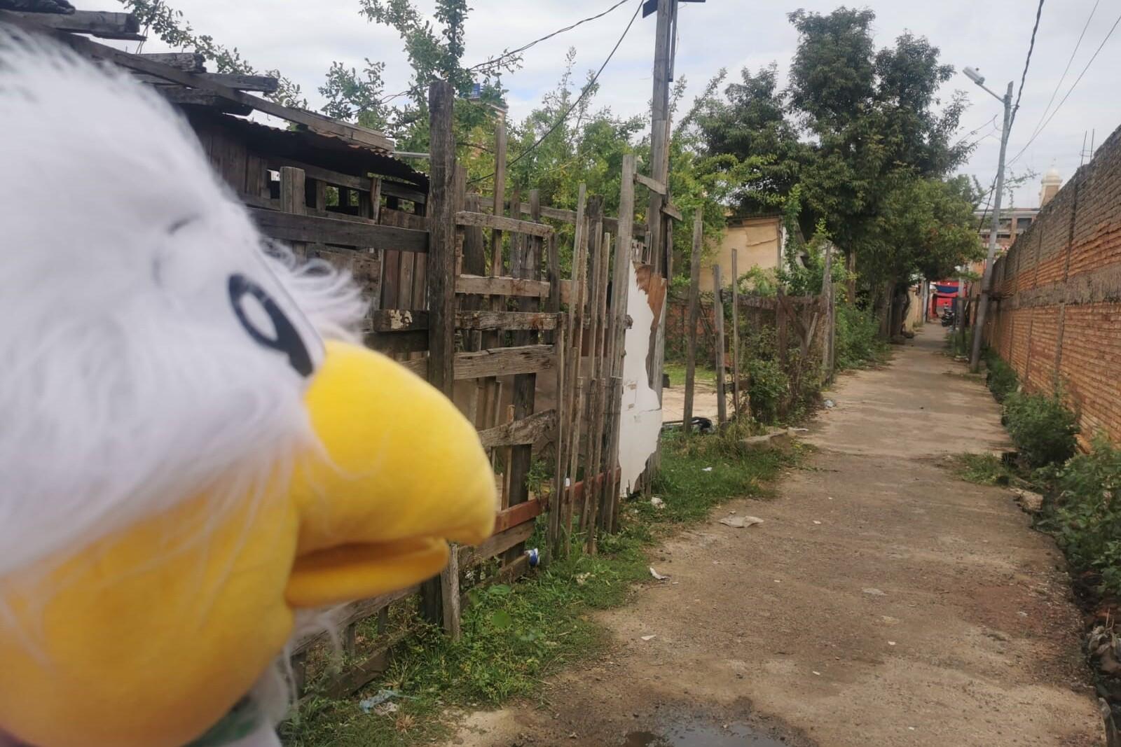 Puppet auf einem schmalen Weg zwischen Holzpfosten und Z&auml;unen, mit B&auml;umen und einem angrenzenden Mauer bei bew&ouml;lktem Himmel.