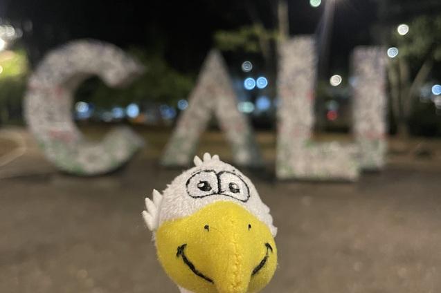 Pl&uuml;schfigur eines Vogels steht vor den beleuchteten Buchstaben &bdquo;CALI&ldquo; in einer n&auml;chtlichen Parklandschaft.