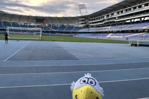 Kuscheltier mit einem Vogelmotiv steht auf dem Sportfeld eines Stadions bei Sonnenuntergang.