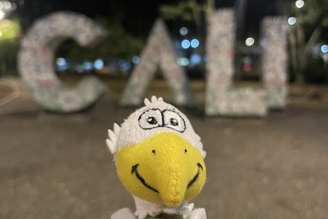 Pl&uuml;schfigur eines Vogels steht vor den beleuchteten Buchstaben &bdquo;CALI&ldquo; in einer n&auml;chtlichen Parklandschaft.