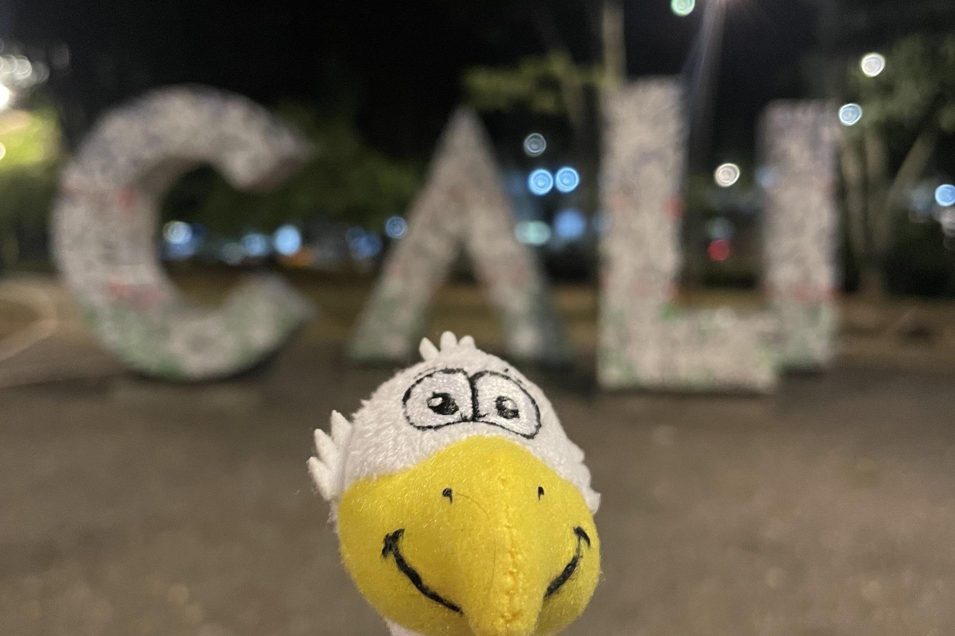 Pl&uuml;schfigur eines Vogels steht vor den beleuchteten Buchstaben &bdquo;CALI&ldquo; in einer n&auml;chtlichen Parklandschaft.