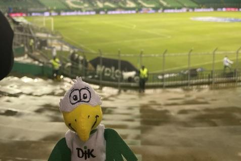 Stofftier eines Vogels im Vordergrund, Stadion mit gr&uuml;nen Sitzpl&auml;tzen und Rasenplatz im Hintergrund.