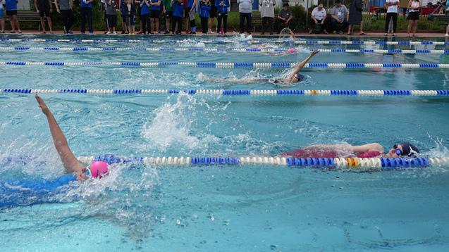 Wettkampf im Schwimmen mit mehreren Teilnehmern und Zuschauern am Beckenrand in einem Wettkampfschwimmbad.