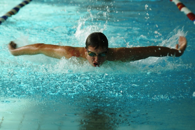 Ein Schwimmer vollzieht den Schmetterlingsstil in einem Hallenbad. Spritzwasser umgibt ihn.