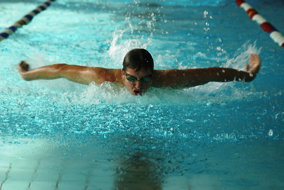 Ein Schwimmer vollzieht den Schmetterlingsstil in einem Hallenbad. Spritzwasser umgibt ihn.