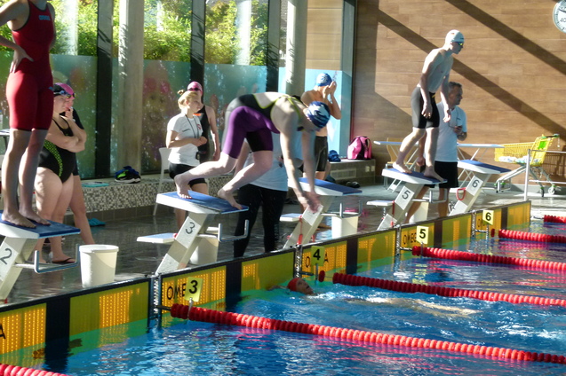 Schwimmerinnen und Schwimmer starten vom Block aus in ein Becken w&auml;hrend eines Wettkampfs im Hallenbad.