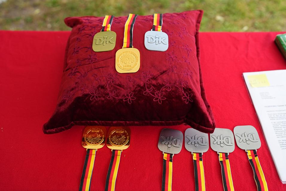Drei Medaillen auf einem roten Kissen, darunter zwei goldene und mehrere silberne Medaillen mit Farbband.