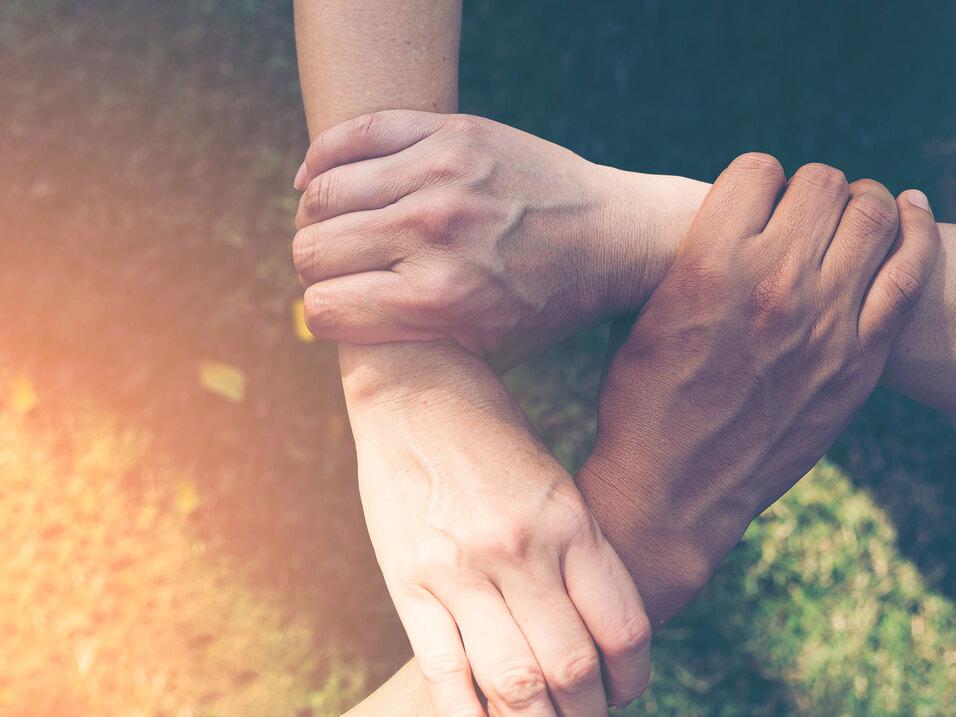 Vier H&auml;nde greifen ineinander auf einer gr&uuml;nen Wiese, symbolisieren Zusammenhalt und Kooperation.