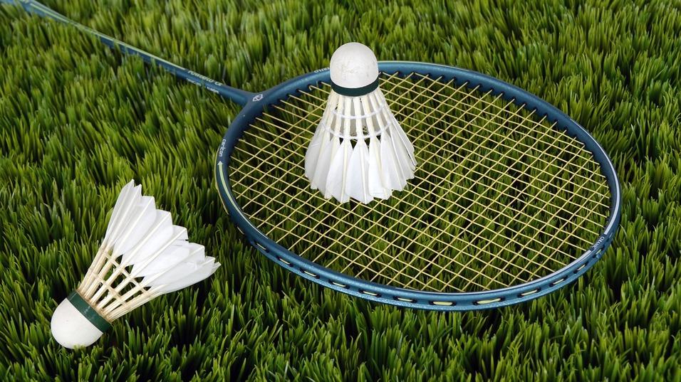 Badmintonschläger mit zwei Federbällen auf grünem Rasen im Hintergrund.