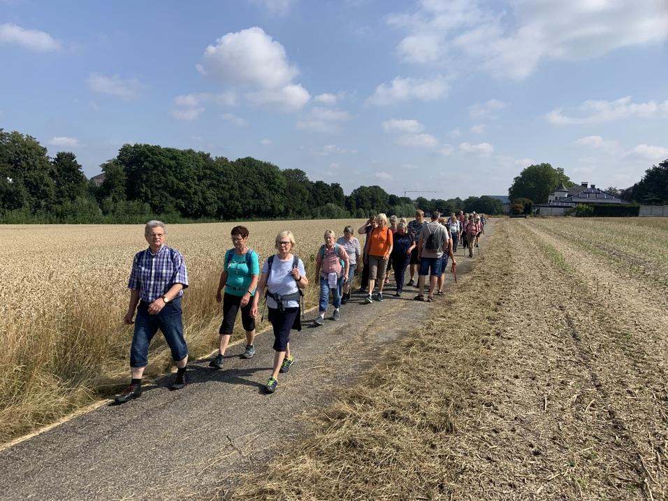 Gruppe von Menschen wandert auf einem Feldweg neben reifen Getreidefeldern an einem sonnigen Tag.