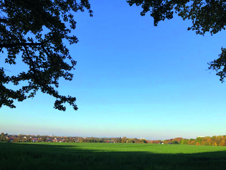 Blick auf eine weite, gr&uuml;ne Wiese unter klarem, blauem Himmel, eingerahmt von B&auml;umen am Bildrand.